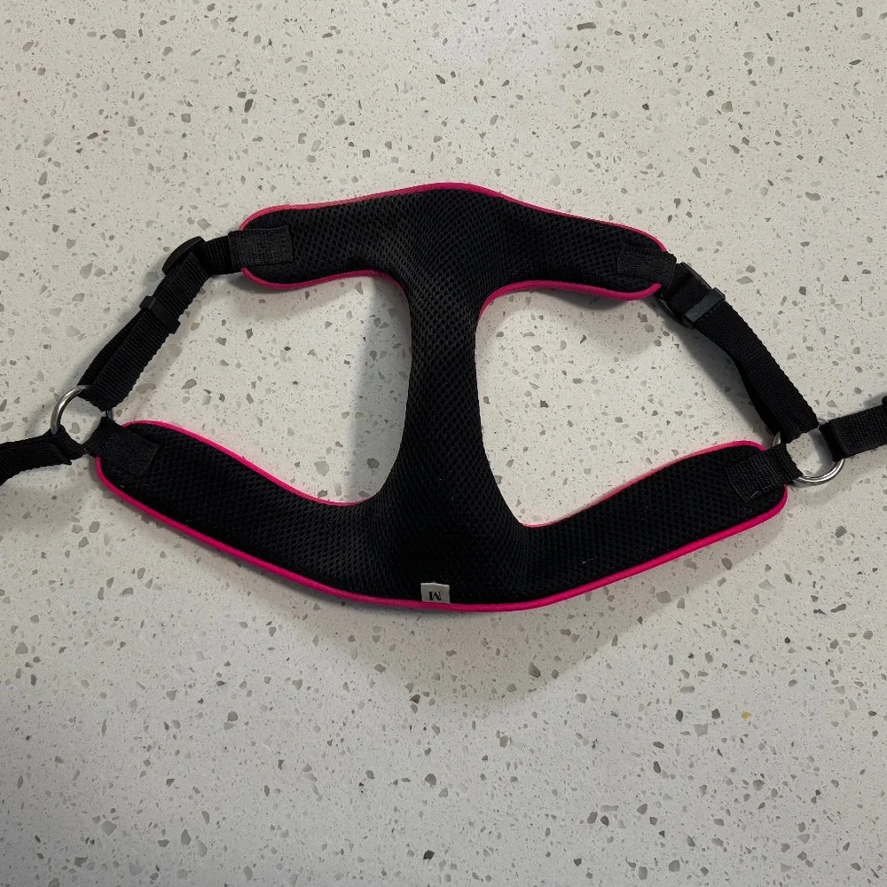 Black Dog Harness